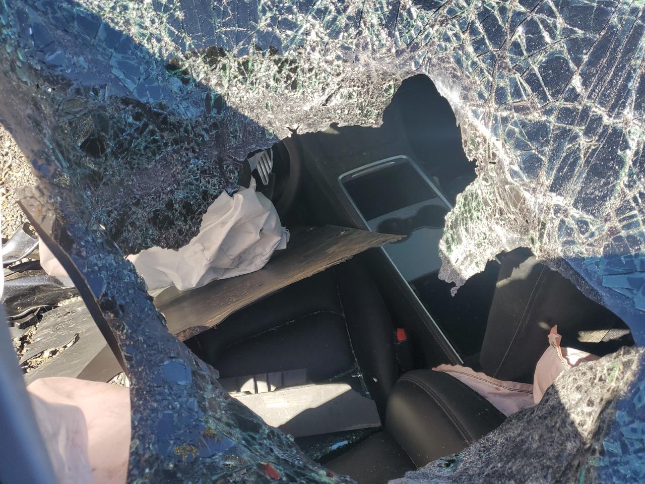 Tesla Model Y Image 12