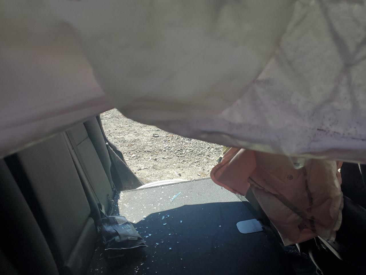 Tesla Model Y Image 10