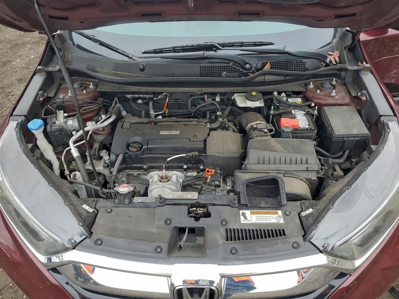 Honda Crv Lx Image 4