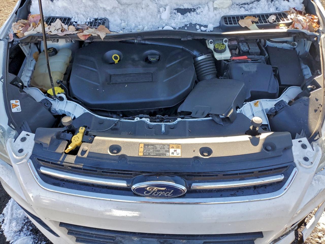 Ford Escape Titanium Image 12