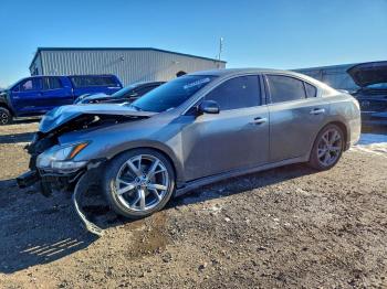  Salvage Nissan Maxima