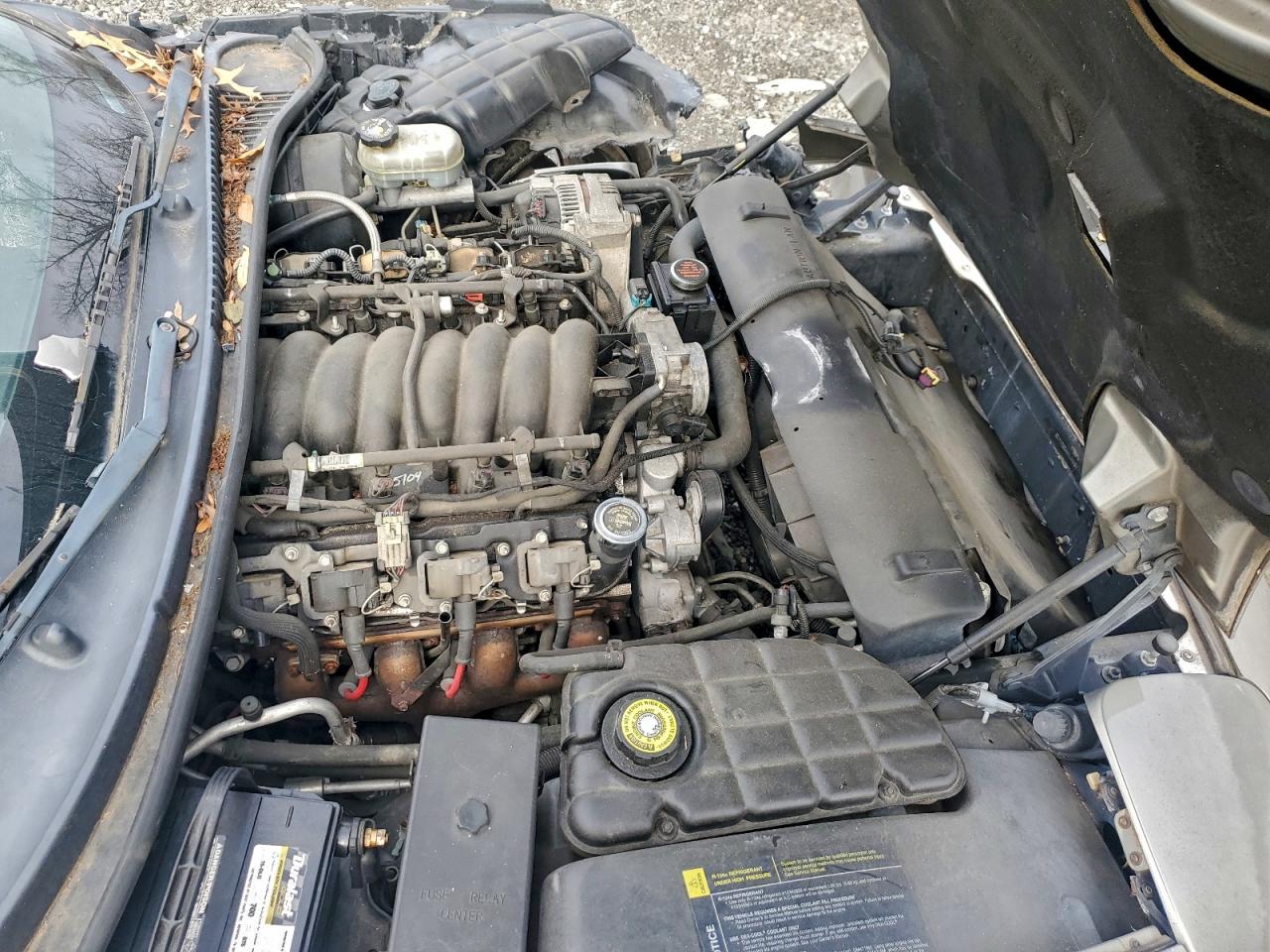 Chevrolet Corvette Image 7