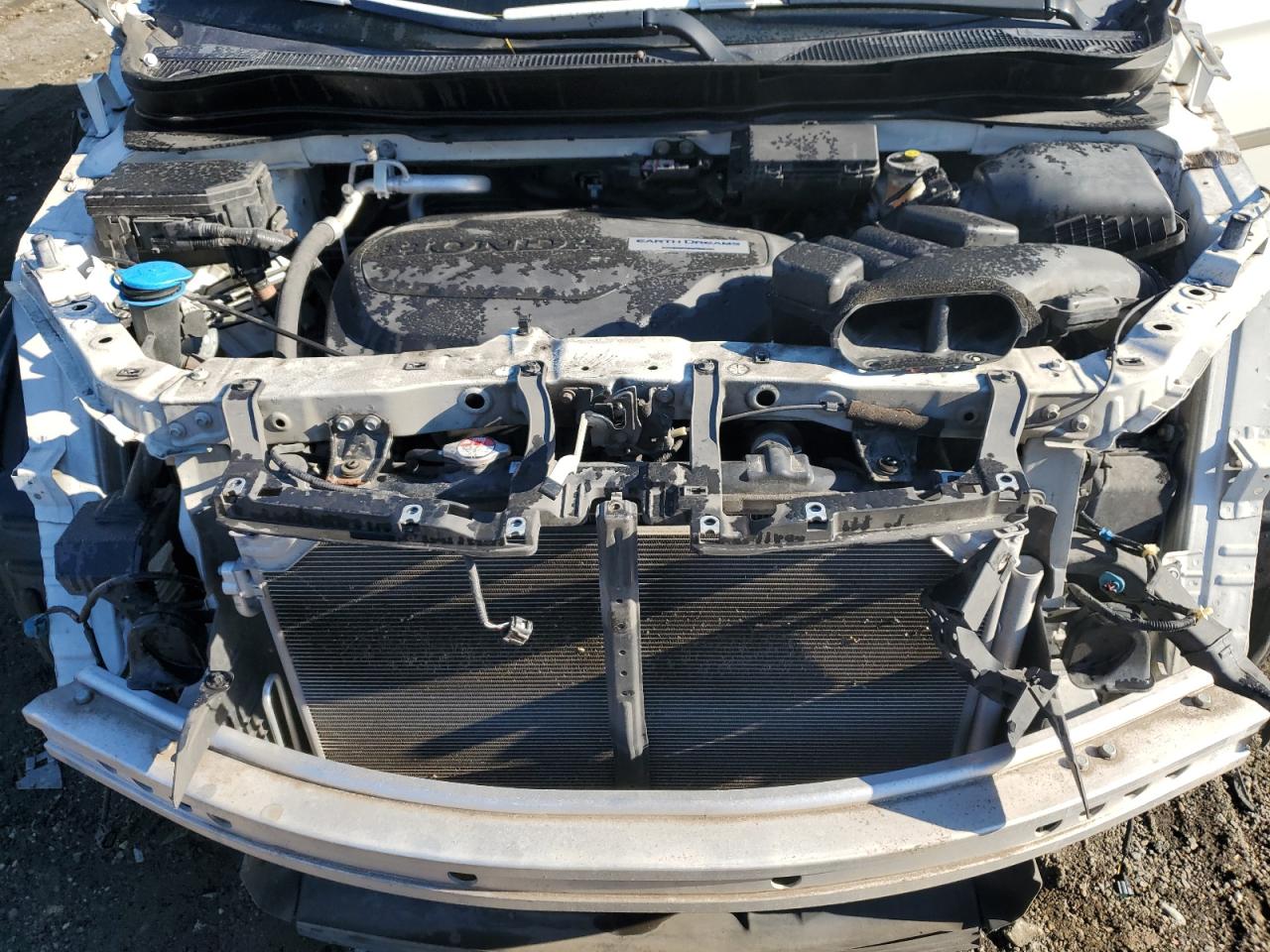 Honda Pilot Touring Image 8