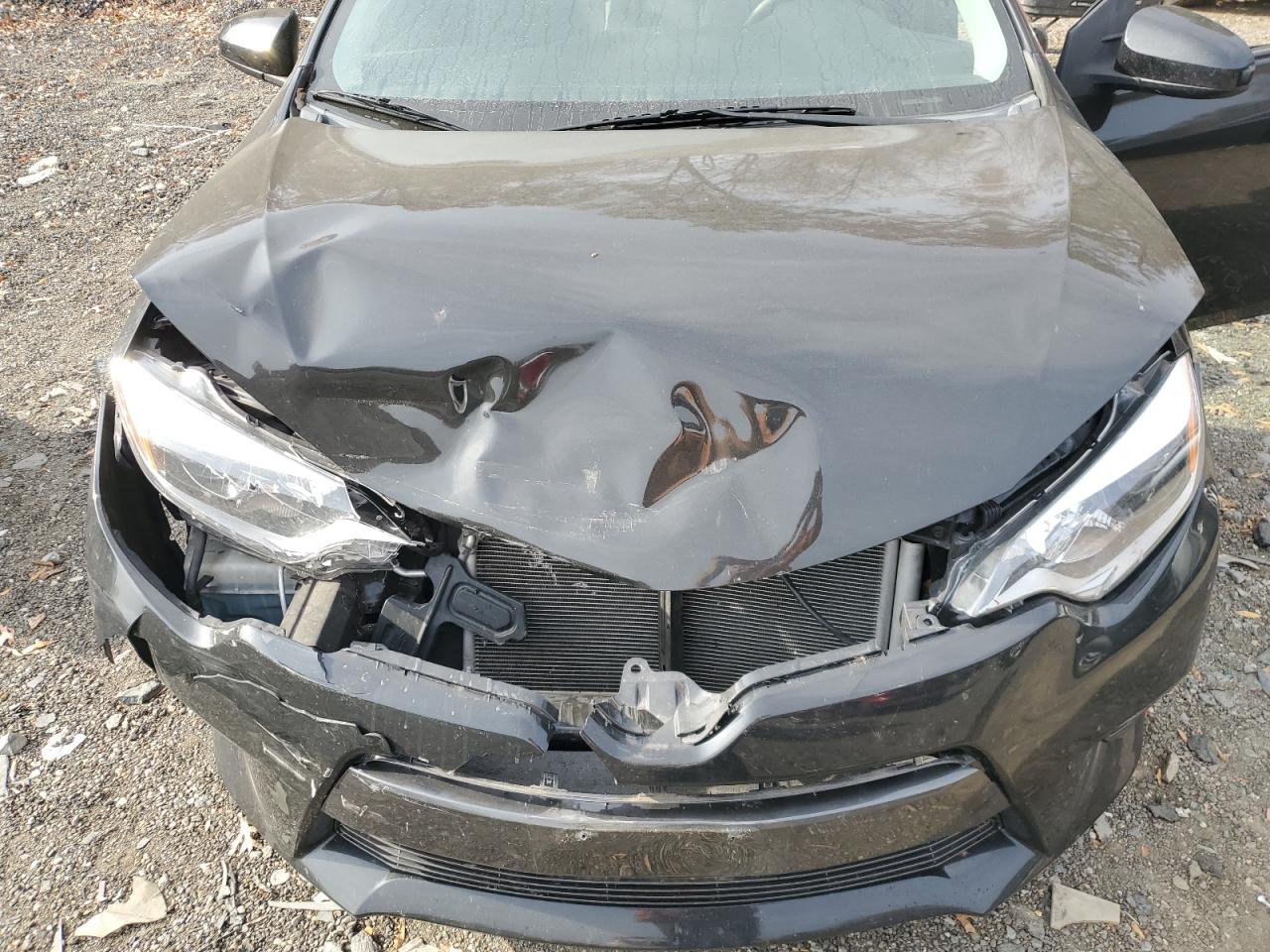 Toyota Corolla L Image 2