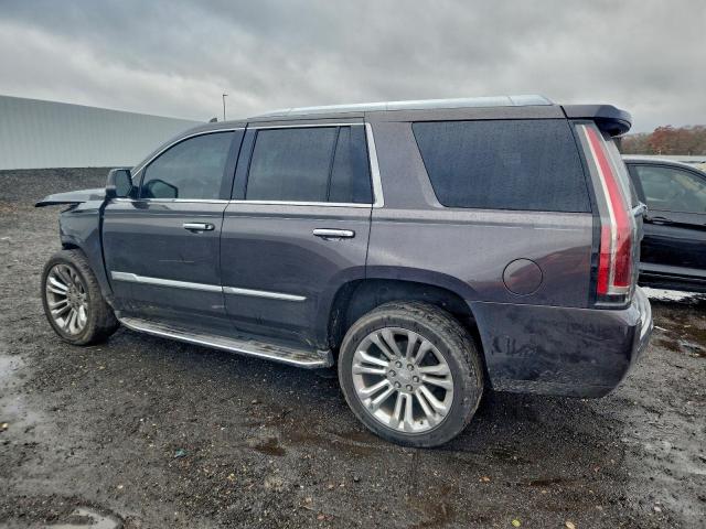 Cadillac Escalade Luxury Image 9