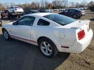 Ford Mustang Image 12