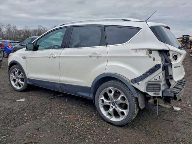 Ford Escape Titanium Image 6