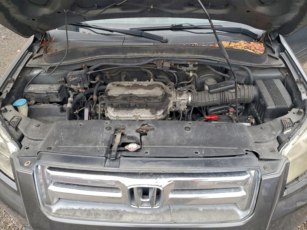 Honda Pilot Exl Image 5