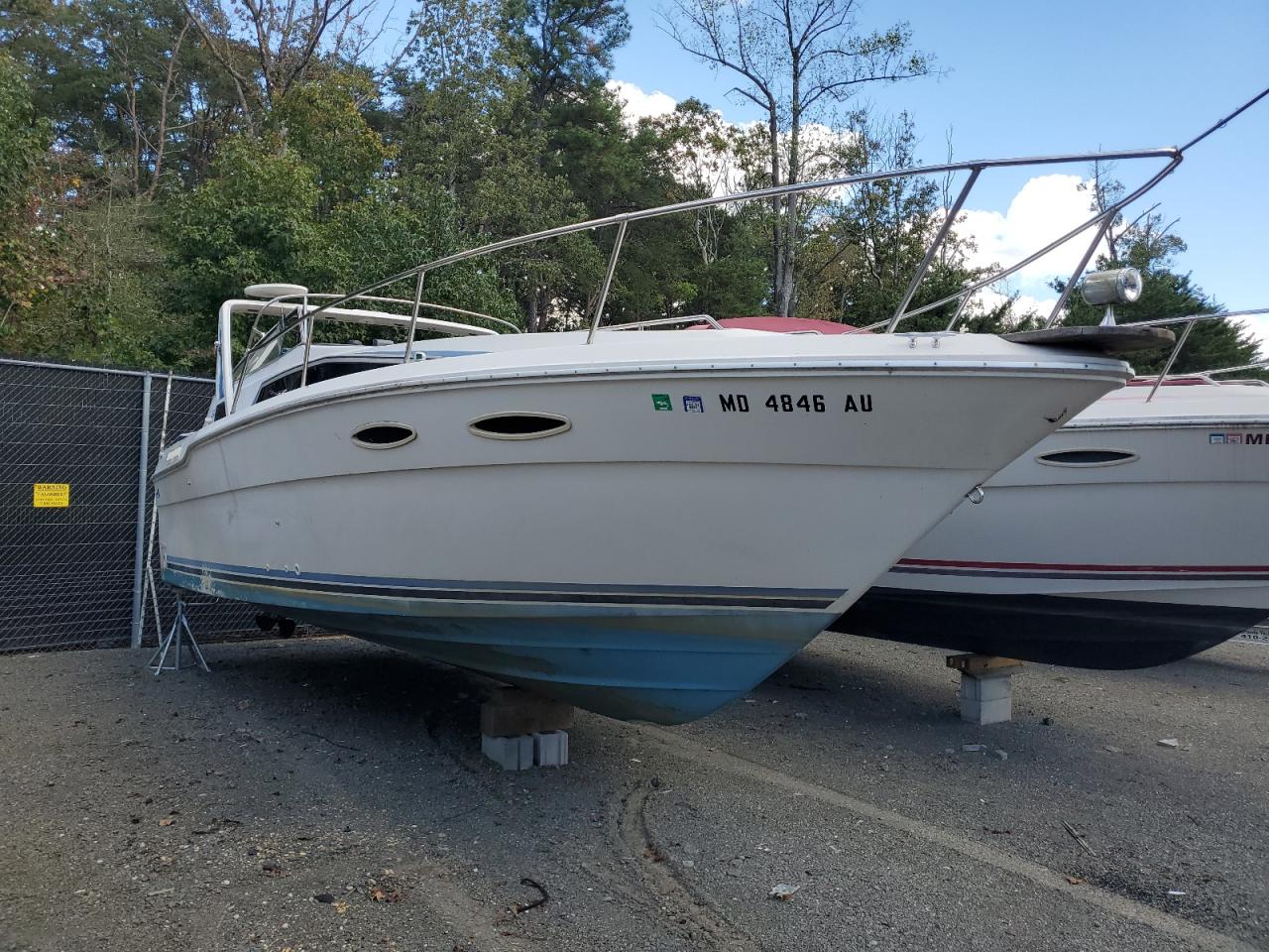 Sea Ray Boat Image 1