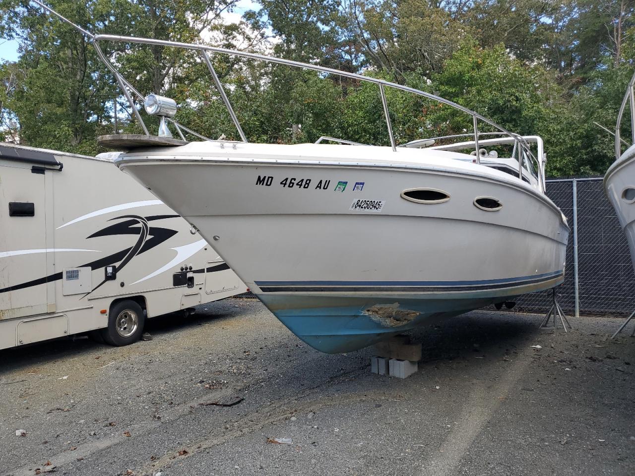 Sea Ray Boat Image 2