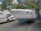 Sea Ray Boat Image 2