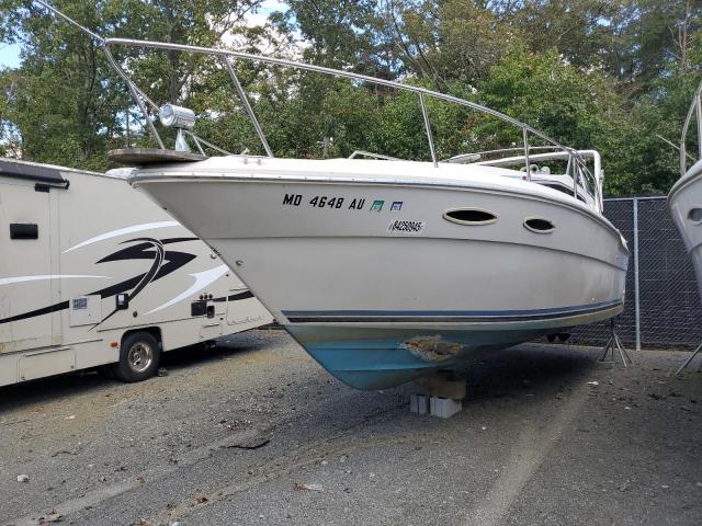 Sea Ray Boat Image 2