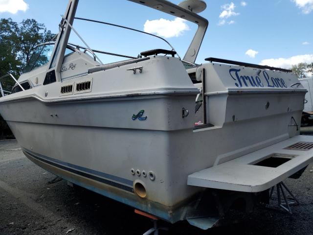 Sea Ray Boat Image 3