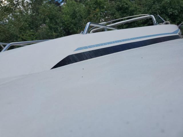 Sea Ray Boat Image 5