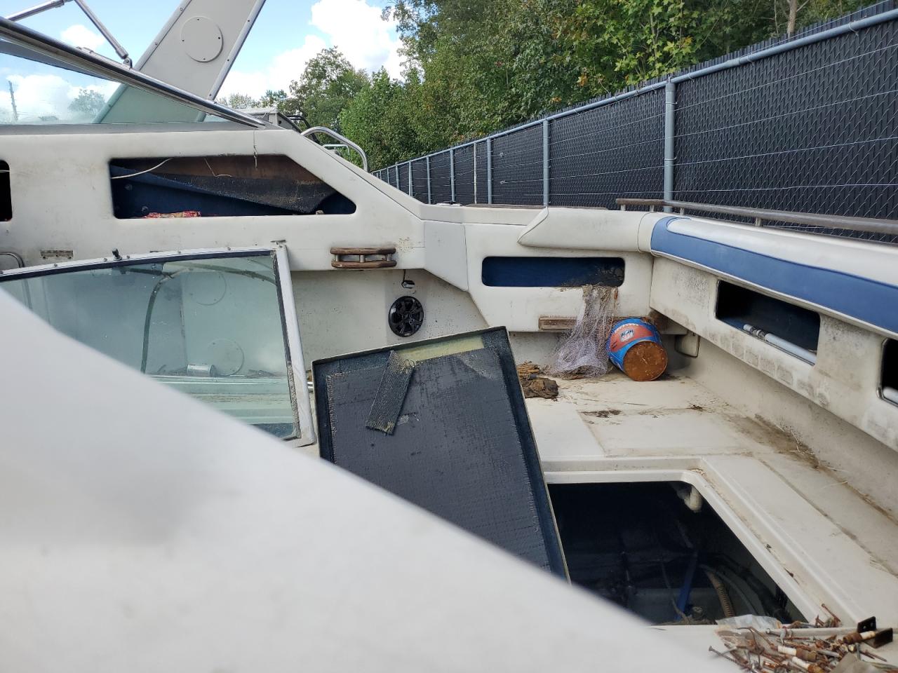 Sea Ray Boat Image 4