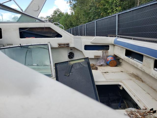 Sea Ray Boat Image 4