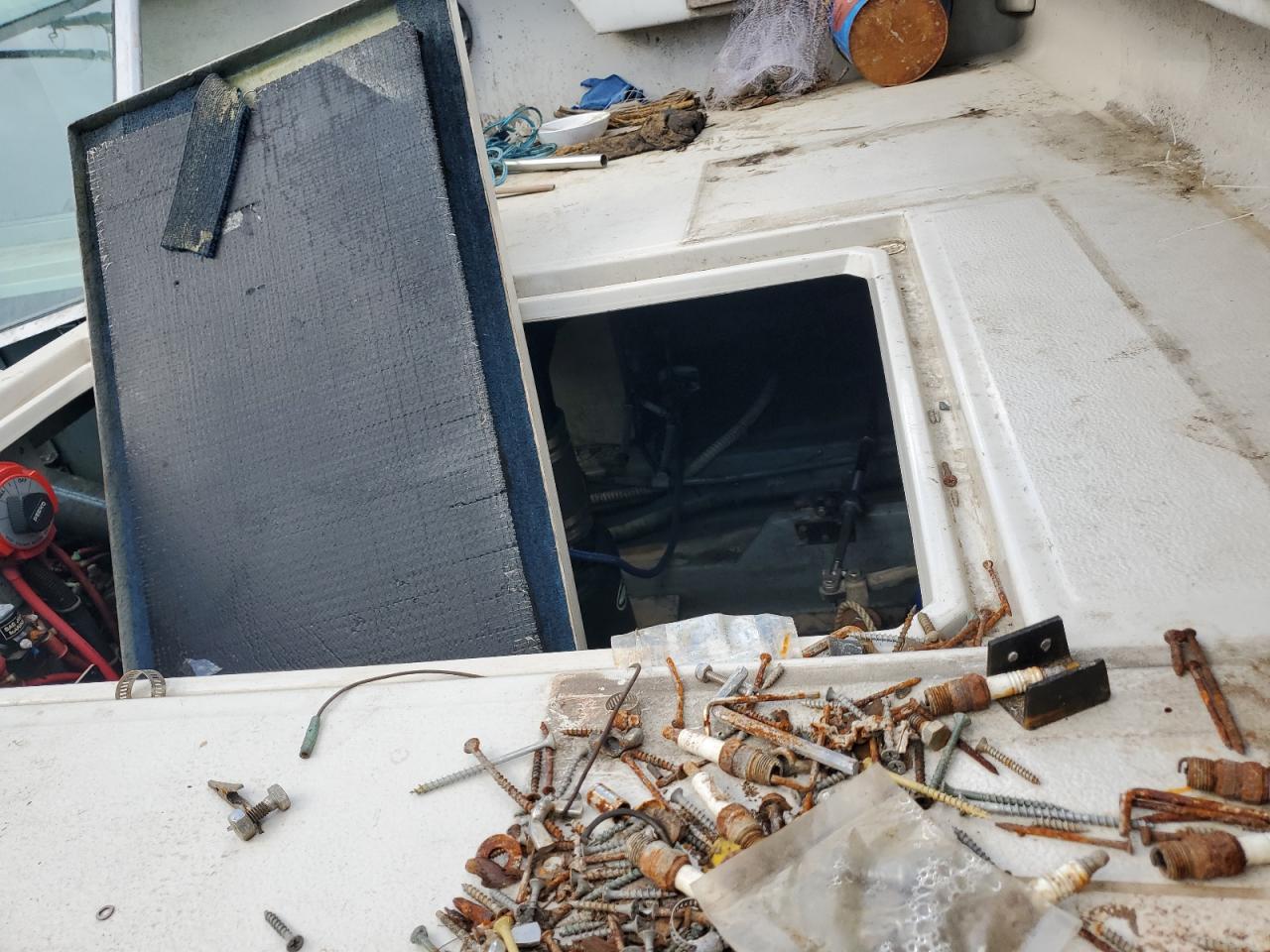 Sea Ray Boat Image 9