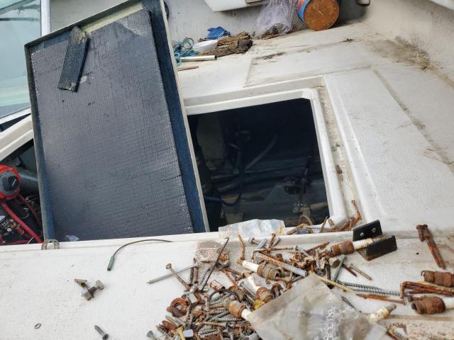 Sea Ray Boat Image 9