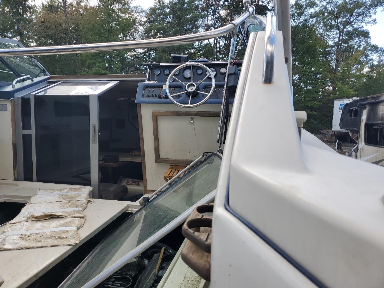 Sea Ray Boat Image 8