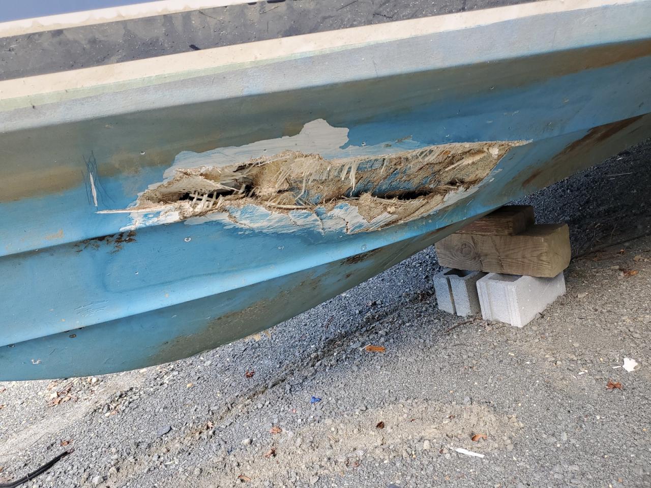 Sea Ray Boat Image 10