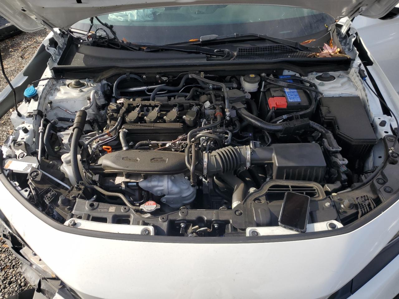 Honda Civic Touring Image 8