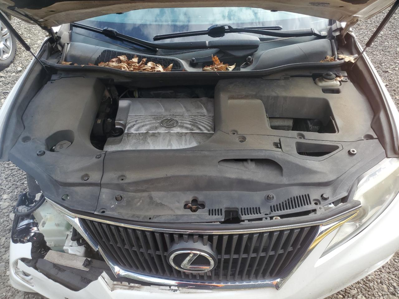Lexus RX 350 Image 12