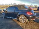 Volkswagen Beetle Image 11