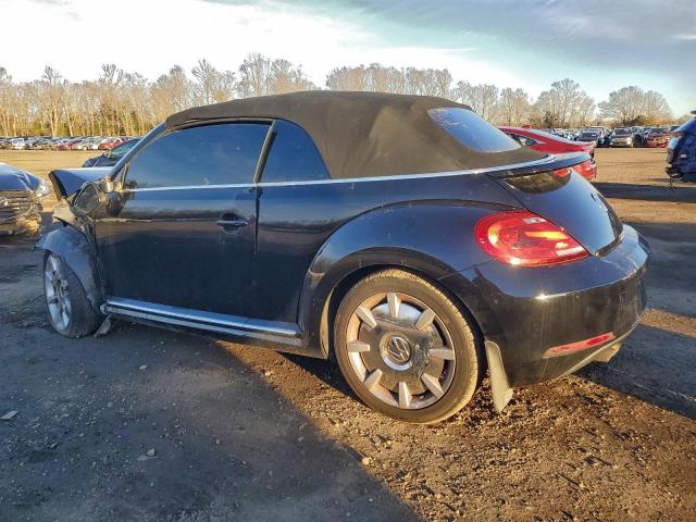 Volkswagen Beetle Image 11