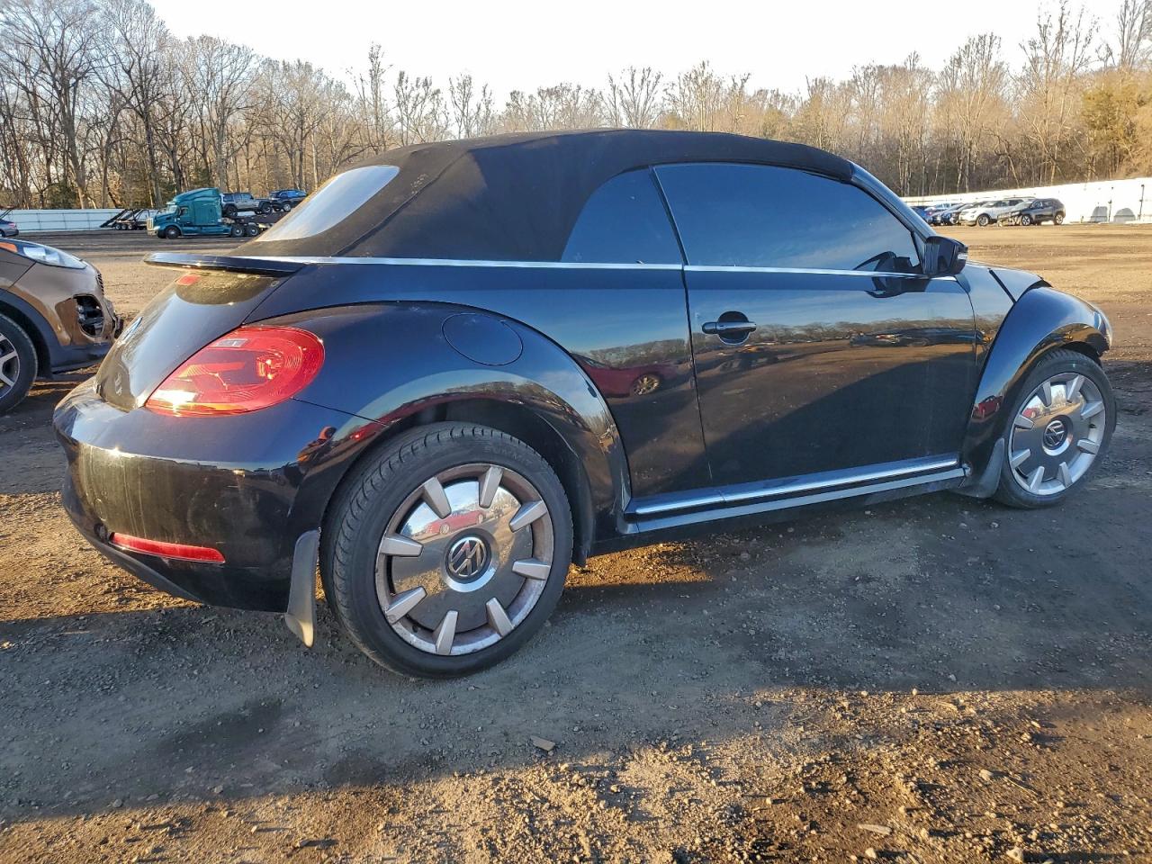 Volkswagen Beetle Image 10