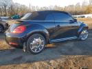Volkswagen Beetle Image 10