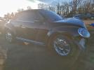 Volkswagen Beetle Image 12