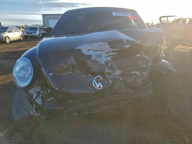 Volkswagen Beetle Image 4