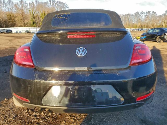 Volkswagen Beetle Image 5