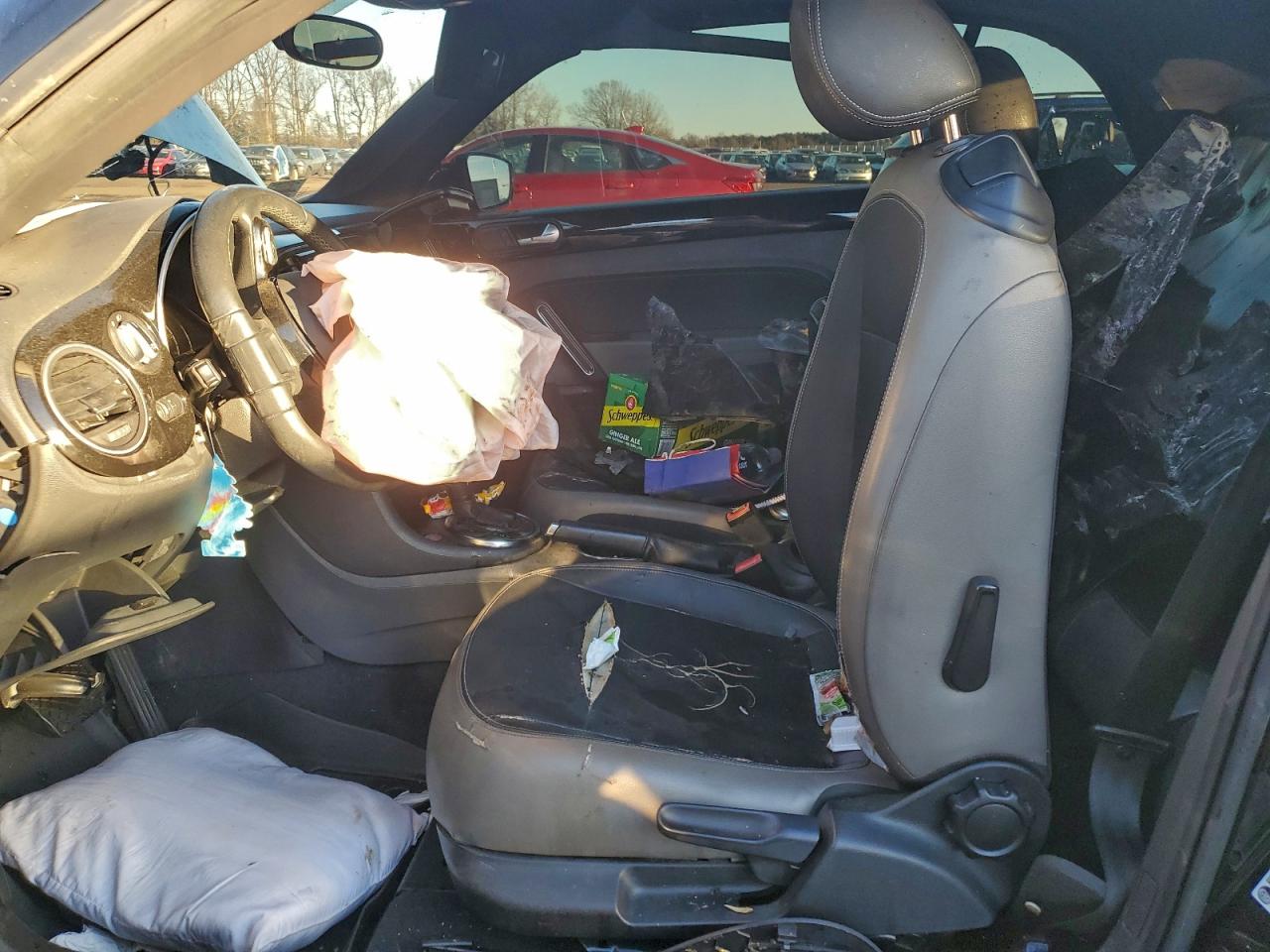 Volkswagen Beetle Image 2