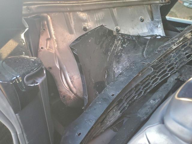 Volkswagen Beetle Image 3