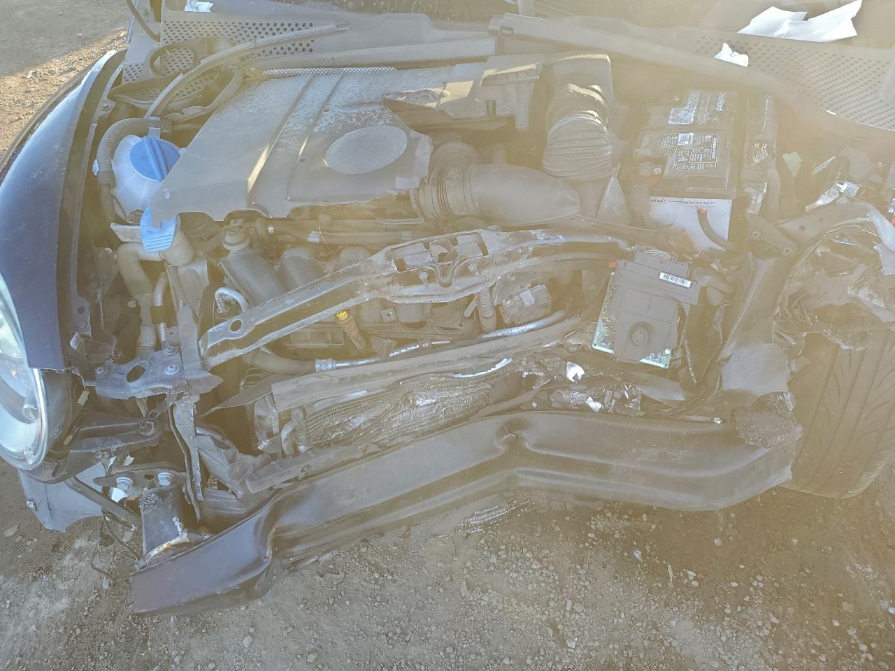 Volkswagen Beetle Image 6