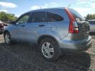 Honda Crv Ex Image 10