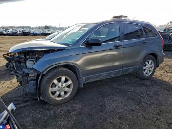  Salvage Honda Crv