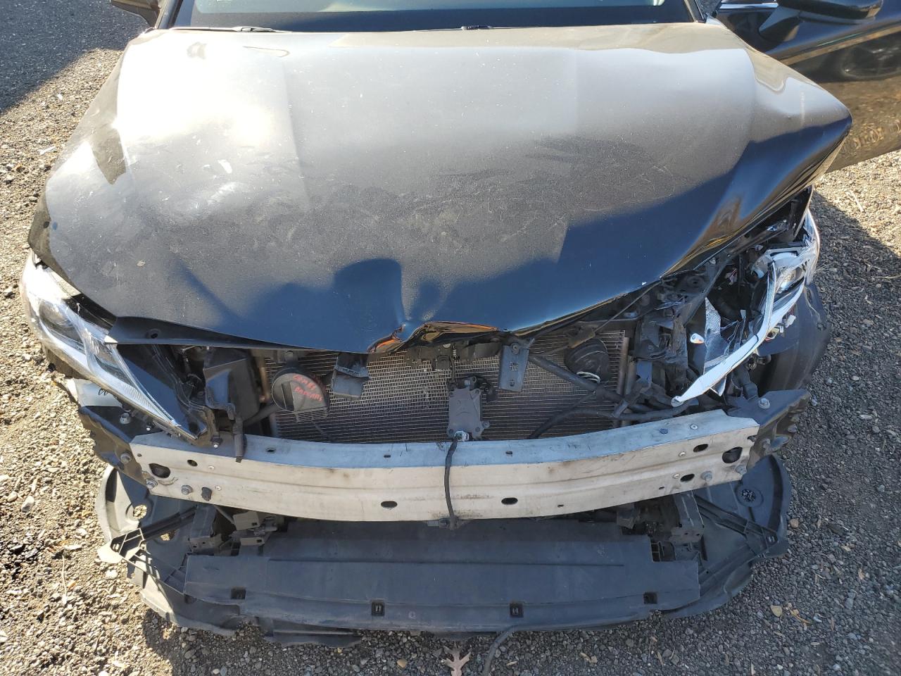 Toyota Camry Se Image 8