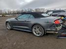 Ford Mustang Image 6