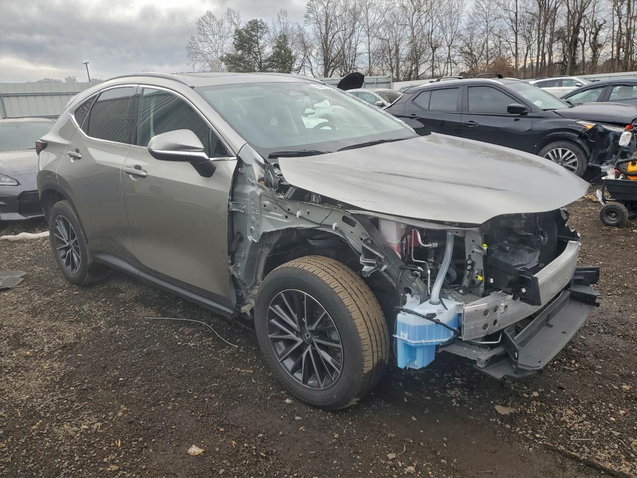 Lexus NX 350 Premium Image 3