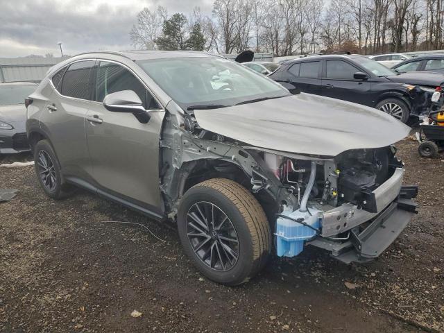 Lexus NX 350 Premium Image 3