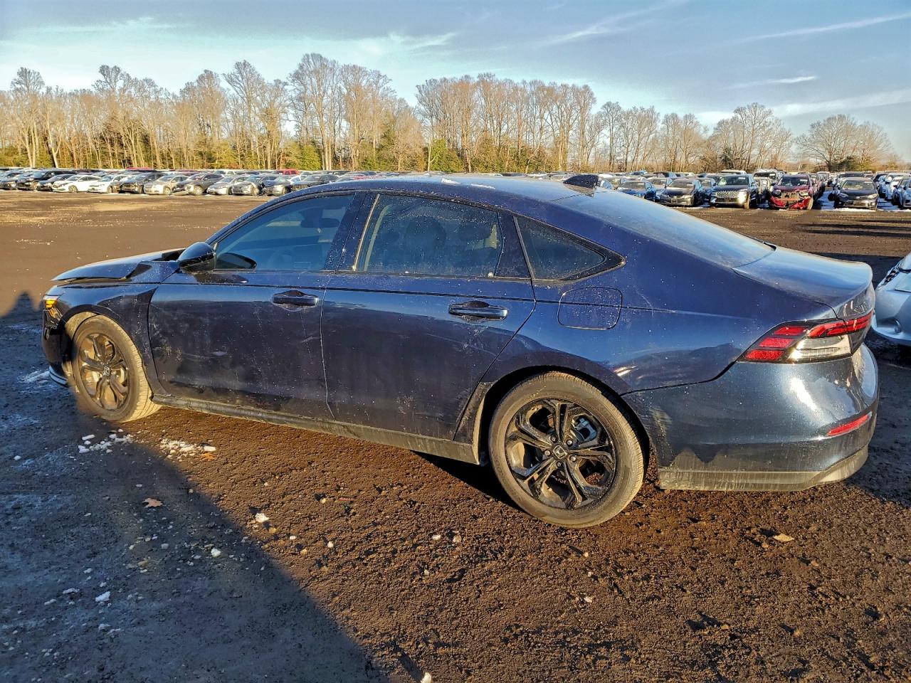 Honda Accord Se Image 3