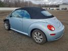 Volkswagen Beetle Image 7