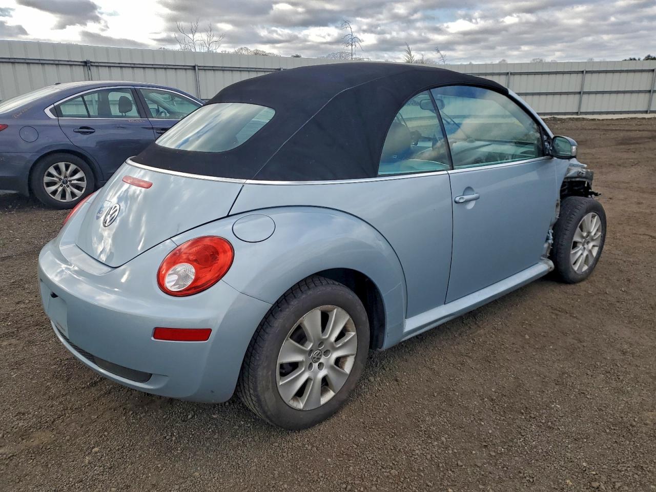 Volkswagen Beetle Image 11