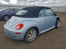 Volkswagen Beetle Image 11