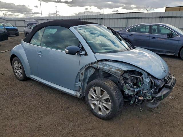 Volkswagen Beetle Image 5