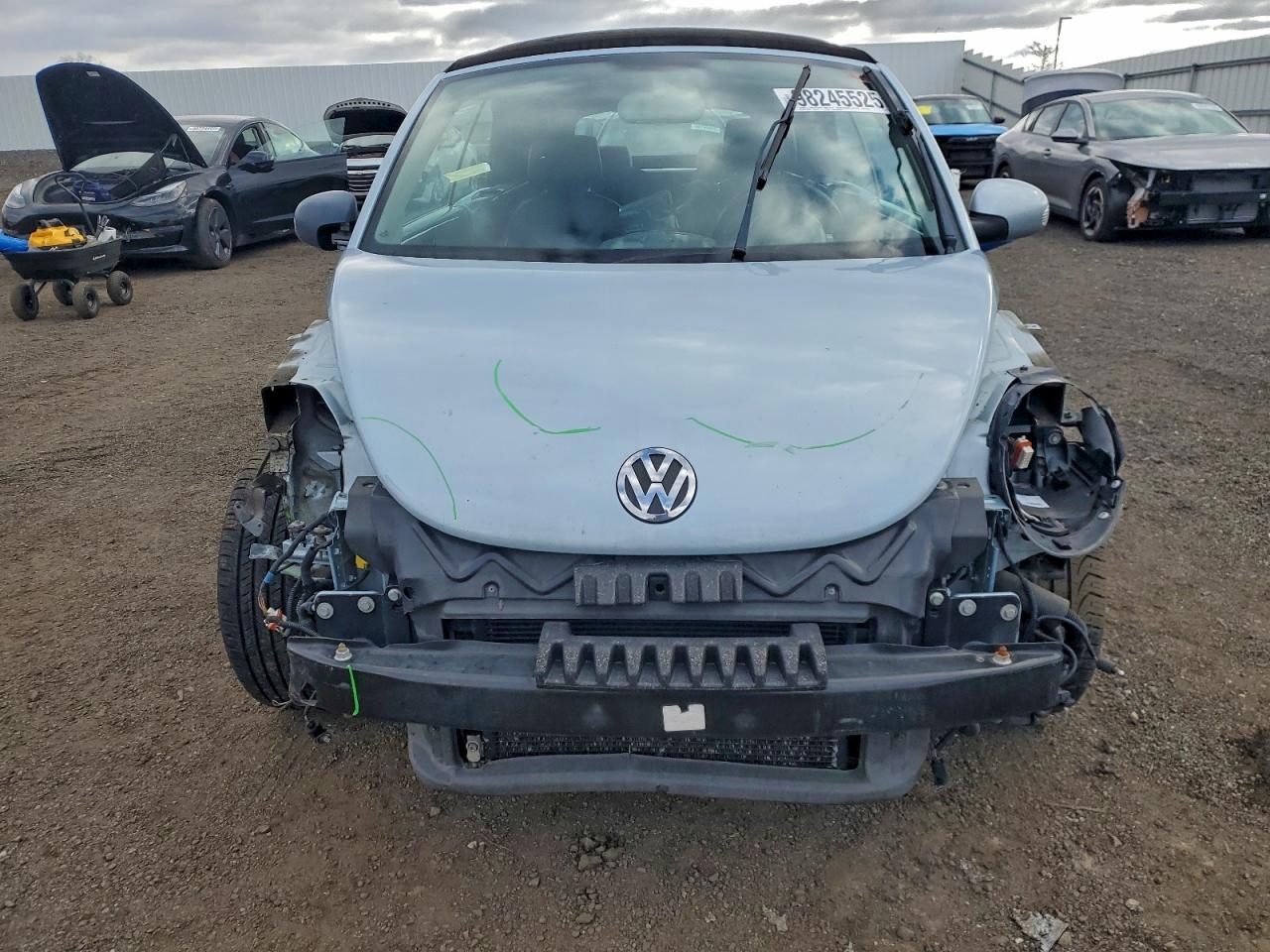 Volkswagen Beetle Image 2