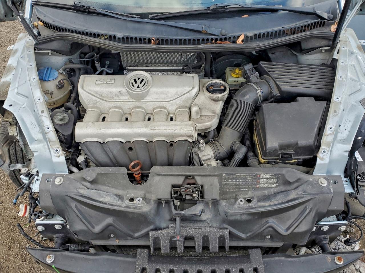 Volkswagen Beetle Image 6