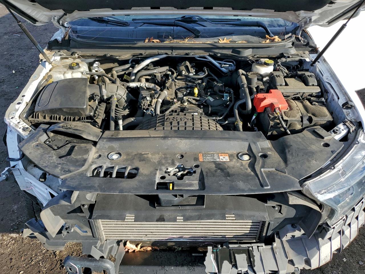 Ford Ranger Xl Image 11